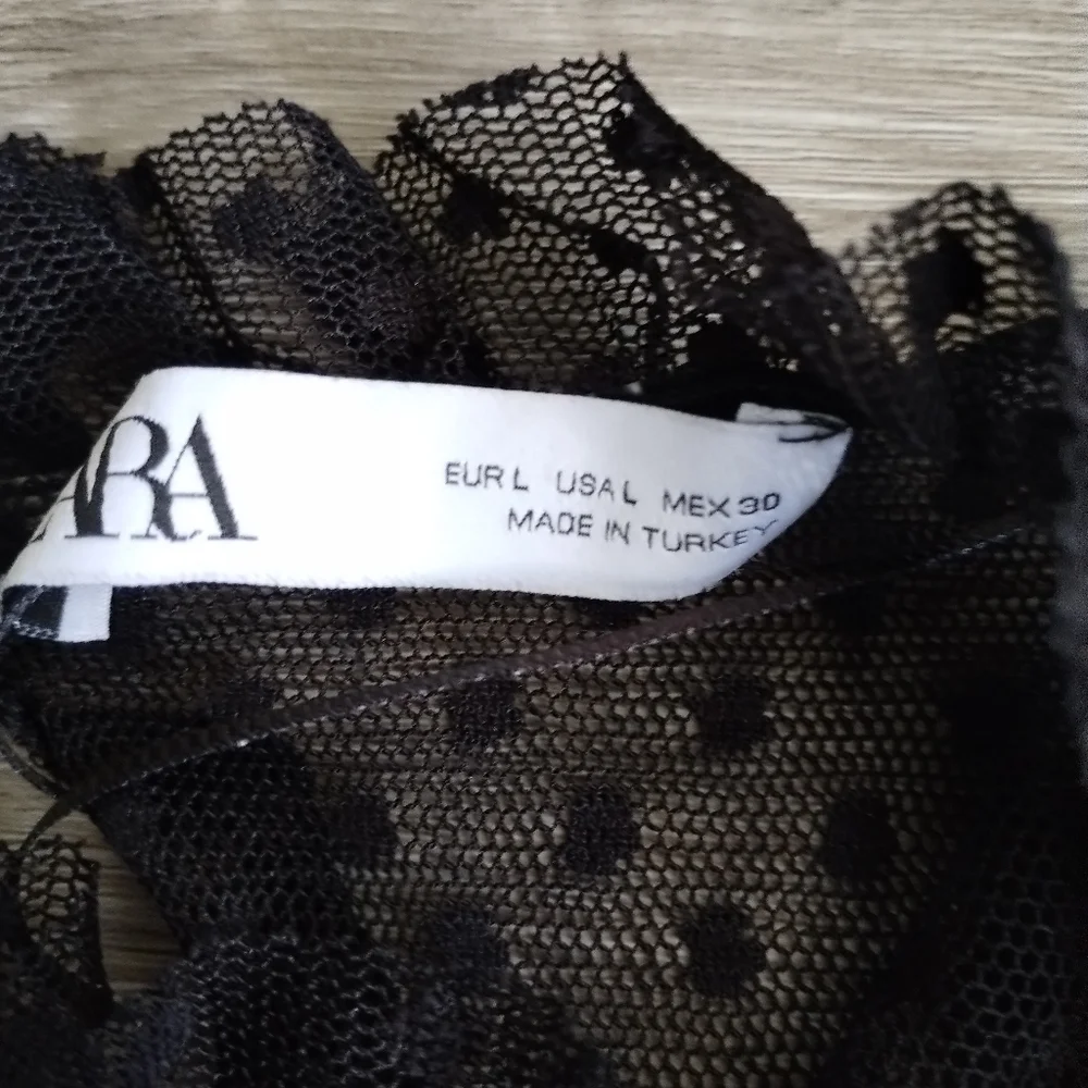 Zara Sheer Black Ruffled Blouse Large
